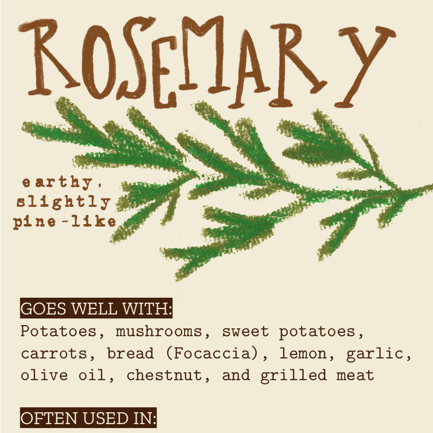 Beginner's Guide To Herbs & Spices [Digital]