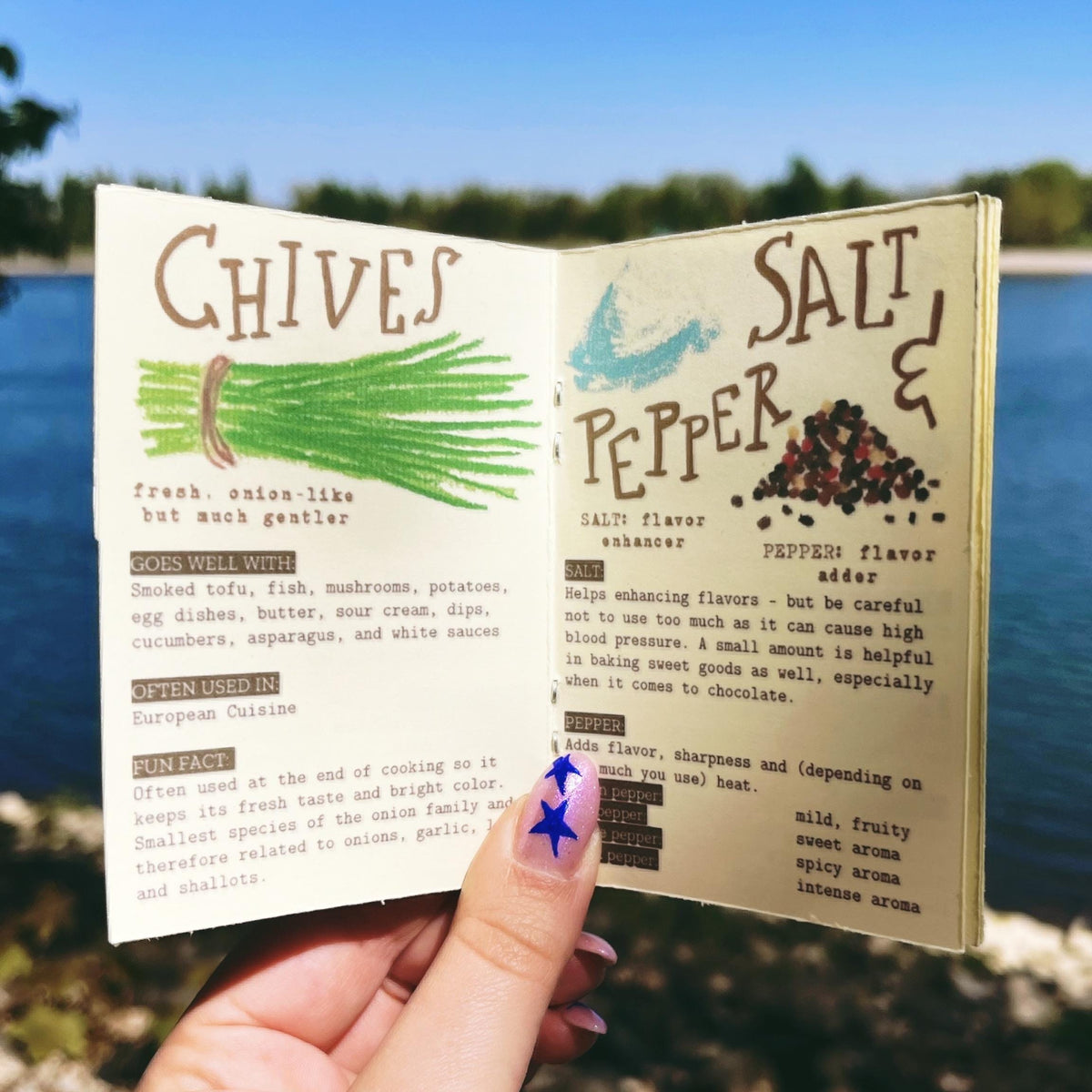 Beginner's Guide To Herbs & Spices