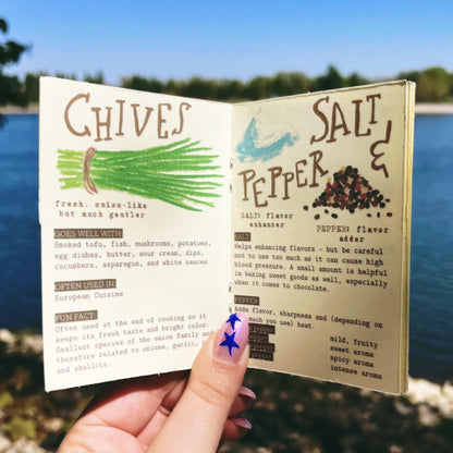 Beginner's Guide To Herbs & Spices